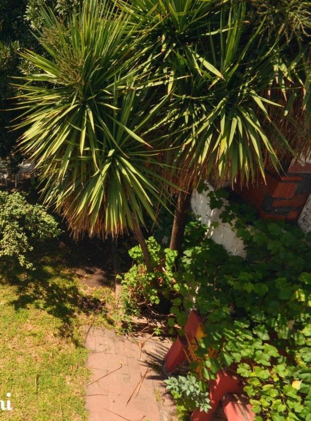 Hostel Kumi Capilla del Monte Εξωτερικό φωτογραφία